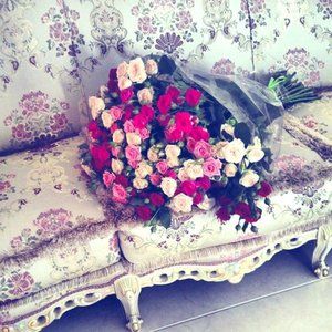 Meet your Posher, Terri